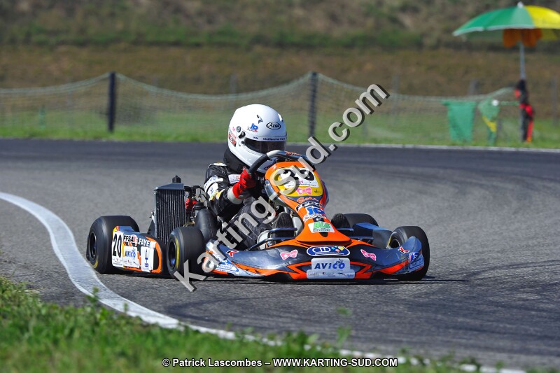 DSC_ (1575).jpg